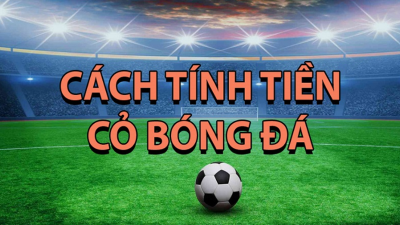 Cách tính tiền cỏ trong cá độ bóng đá cho những tân binh mới